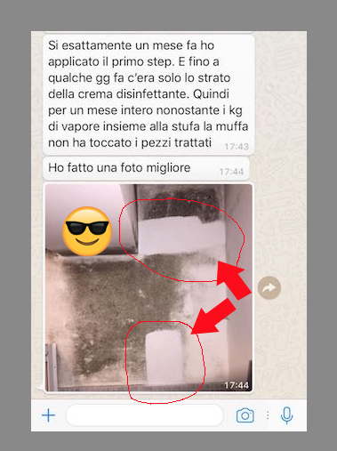 Muffa da condensa